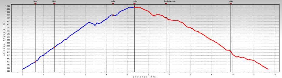 grafico della gita