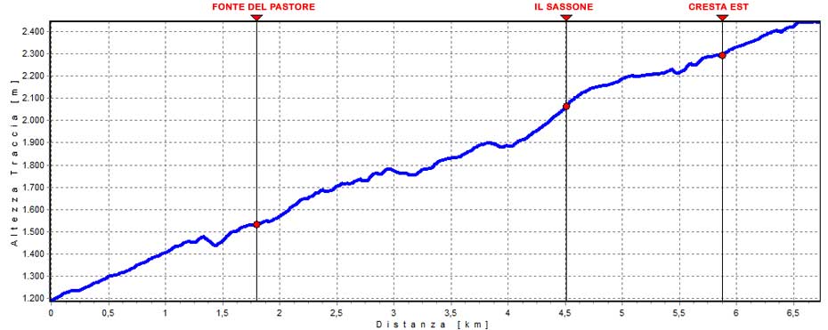 grafico della gita