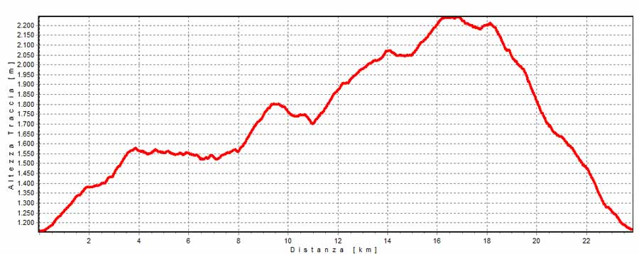 grafico della gita